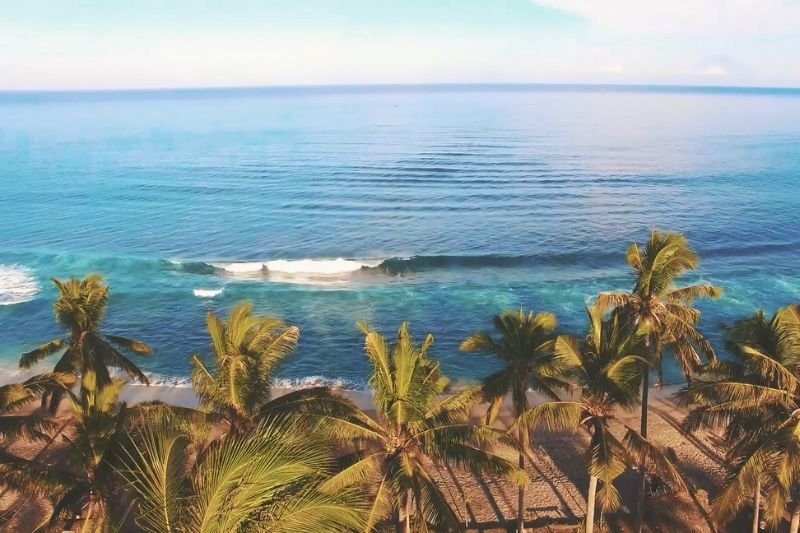 FREE Travel Video Title Animations for Premiere Pro, motion graphic templates premiere pro, mogrt premiere pro, free title animations, cinematic titles, travel video titles, travel video fonts, cinematic fonts free, tuts and reviews, tutsandreviews.tech